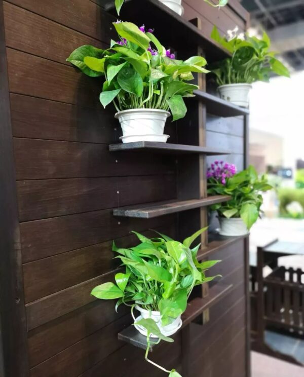 ZHUART Bamboo- Outdoor wall-mounted shelf