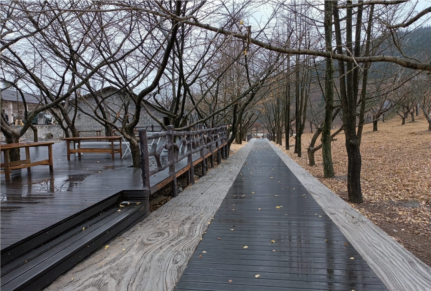 ZHUART bamboo decking Maple & Ginkgo Ecotourism Scenic Area