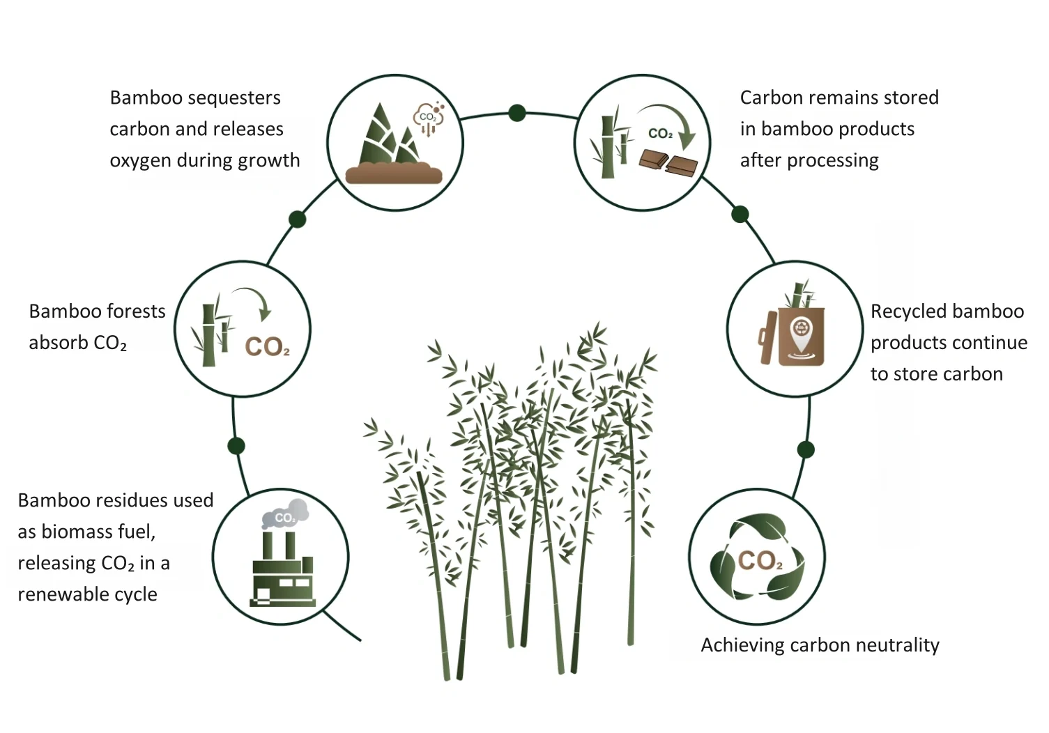 bamboo carbon footprinnt