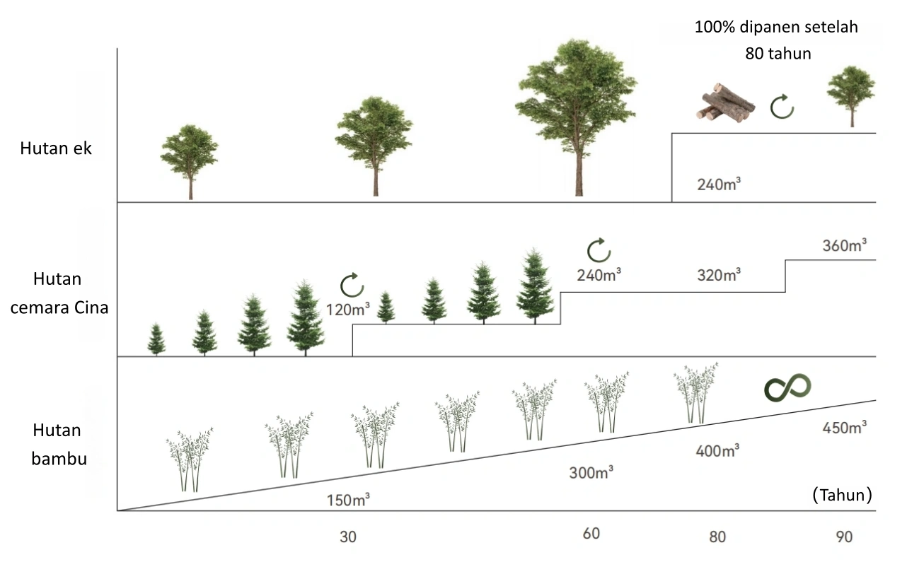 Perbandingan Pertumbuhan Bambu dan Kayu