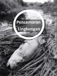 kelemahan kayu olahan